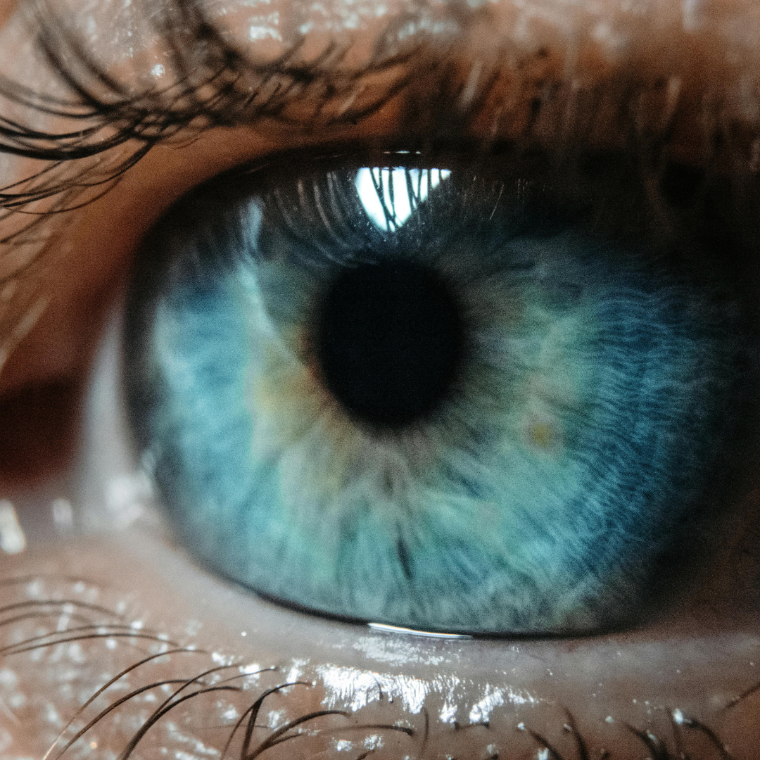 Blue-eyes.png