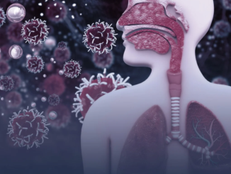 3D medical illustration of the human respiratory system with virus particles floating nearby, illustrating how infections can affect the body and contribute to cancer.