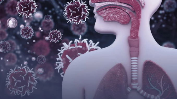 3D medical illustration of the human respiratory system with virus particles floating nearby, illustrating how infections can affect the body and contribute to cancer.